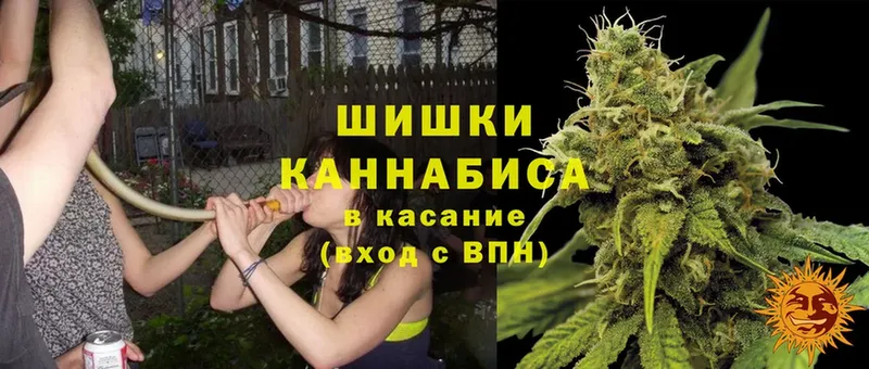 дарнет шоп  Каневская  shop состав  Конопля Ganja 